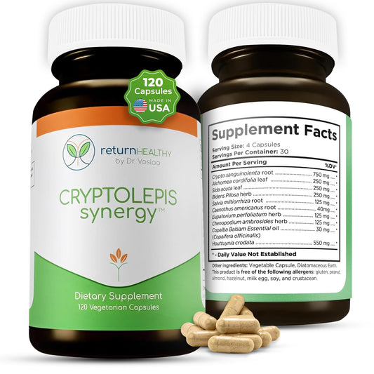 Return Healthy Cryptolepis Synergy bottle front promotes everyday immune support and overall wellness.