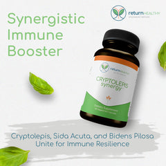 Return Healthy Cryptolepis Synergy capsules closeup highlights convenient daily capsules for immune defense.