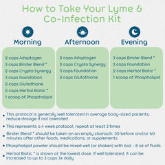 Return Healthy daily use kit image showing a streamlined wellness routine