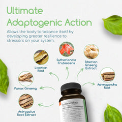 Return Healthy Siberian Ginseng visual showcases herb blend aimed at everyday resilience.