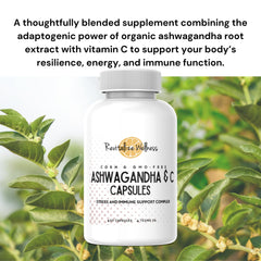 Revitalize Wellness capsules in hand suggesting easy daily use