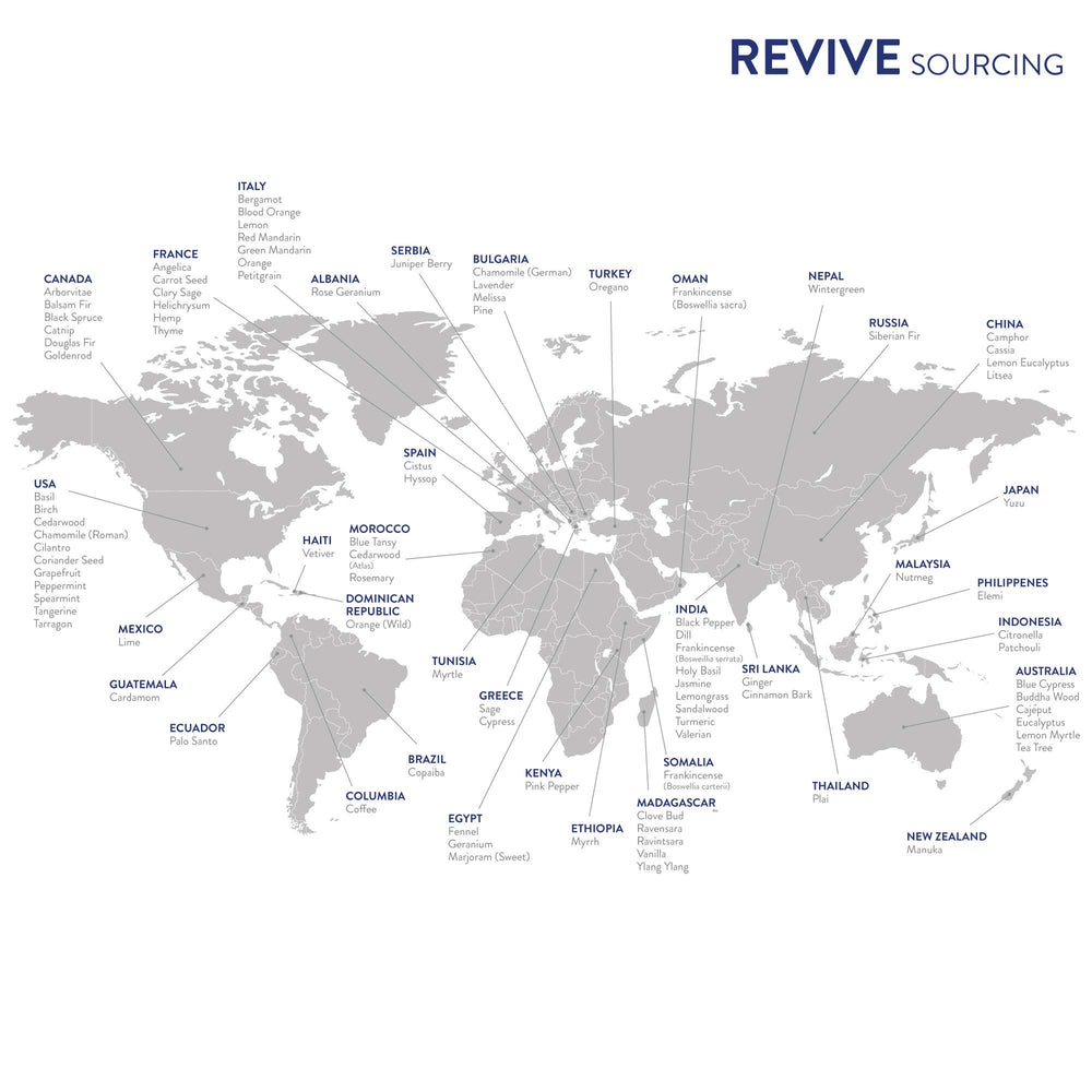 REVIVEEO Purify packaging-box presentation makes a thoughtful gift idea