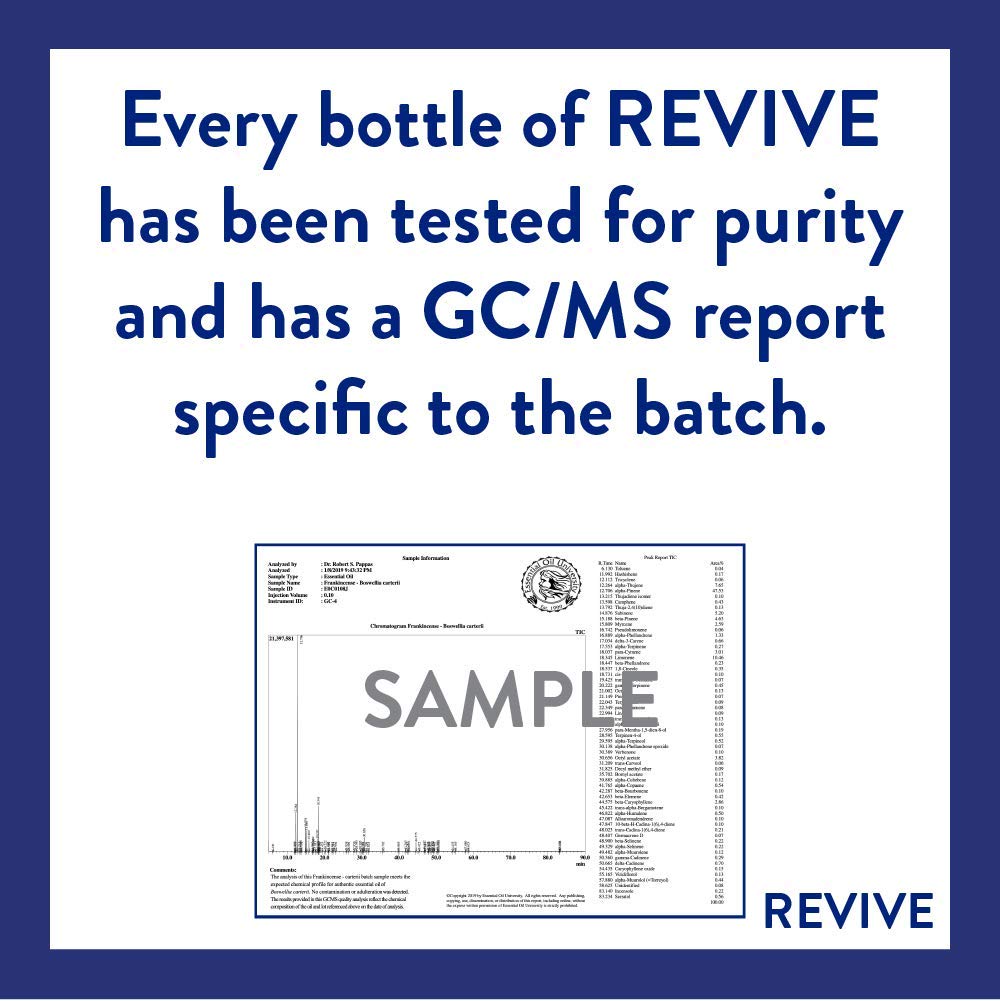 REVIVEEO Stress Easy massage-application for neck and shoulder tension relief.