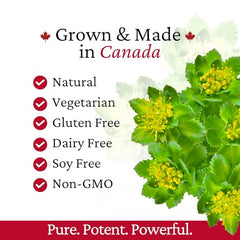 Rhoziva Rhodiola Rosea Canada-grown roots.