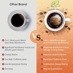RIOWEGO Chaga close-up highlighting antioxidant-rich mushrooms in the blend.