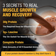 RISE311 protein powder scoop close-up highlighting creamy texture for easy mixing.