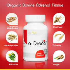 RLC Labs a-Drenal capsules close-up highlighting natural adaptogens for balance