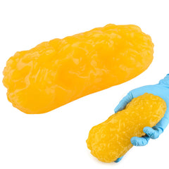 RONTEN 1 lb fat model close-up showing realistic texture for demonstrations