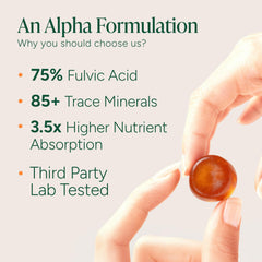 ROOT LABS Shilajit Gummies pack supports a consistent daily routine.
