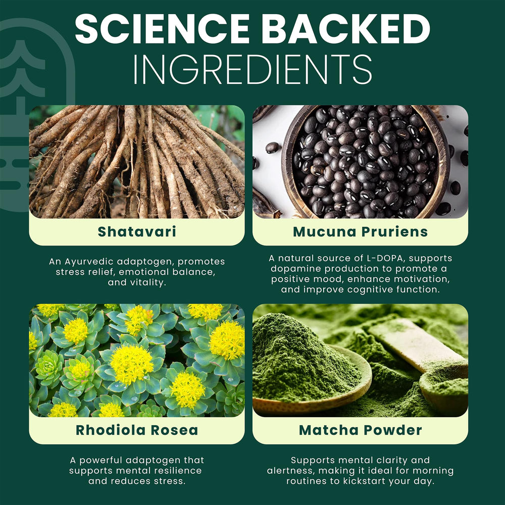 Close look at MoodLift ingredients for balanced energy support.
