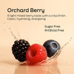 Root'd multivitamin powder dissolves quickly in water for hydration.