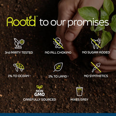 Root'd sustainability pledge graphic highlights reforestation and ocean cleanup