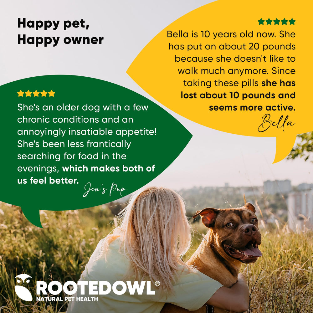 Rooted Owl cat mealtime with supplement, hinting at daily wellness routine.