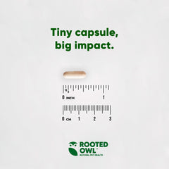 Rooted Owl dog walking scene with product, suggesting active lifestyle support.