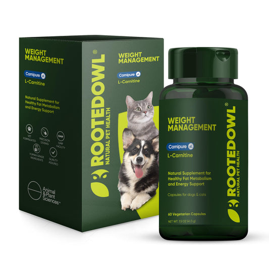 Rooted Owl Metabolism Support bottle for pets, promoting balanced energy metabolism.
