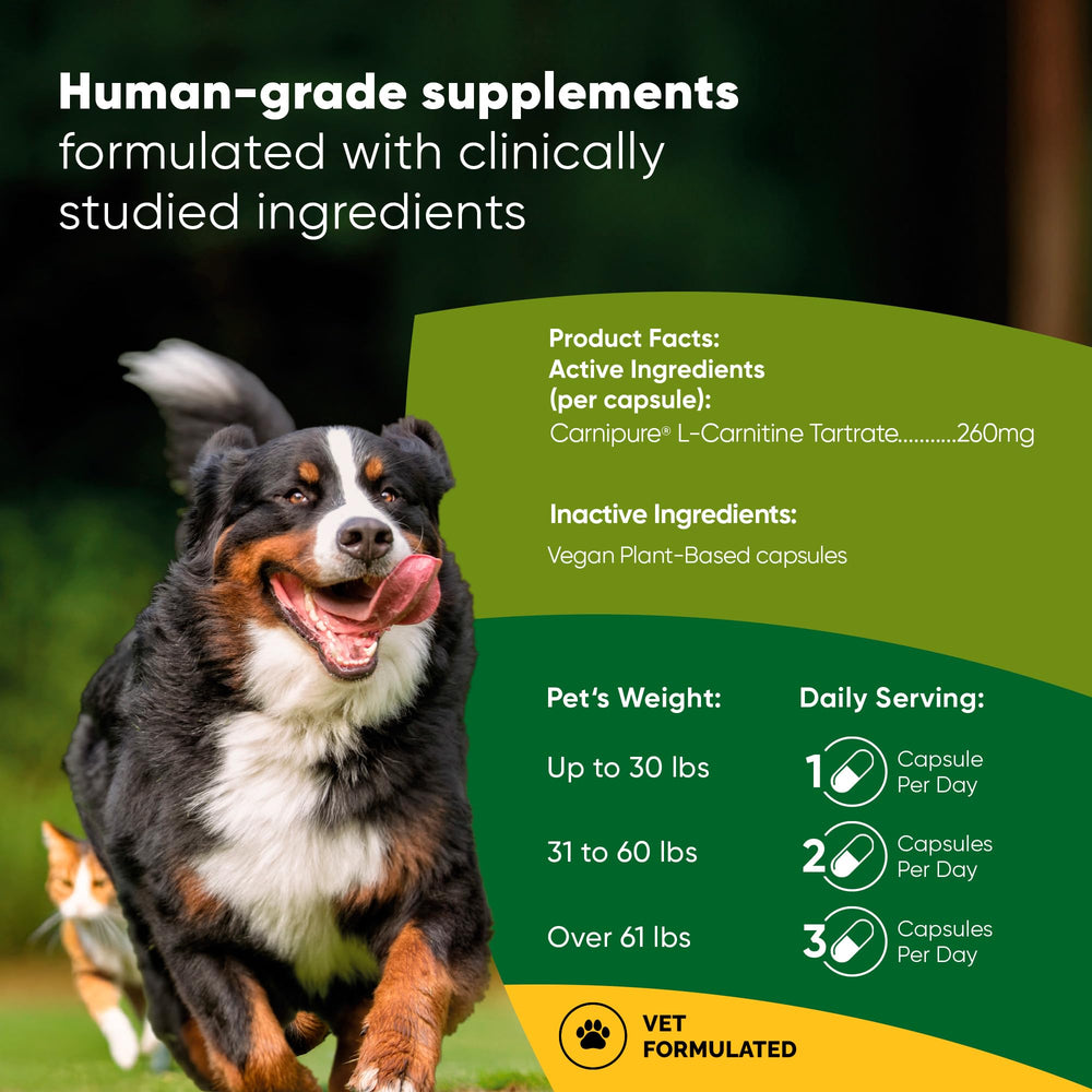 Rooted Owl Metabolism Support capsules, easy daily administration for pets.