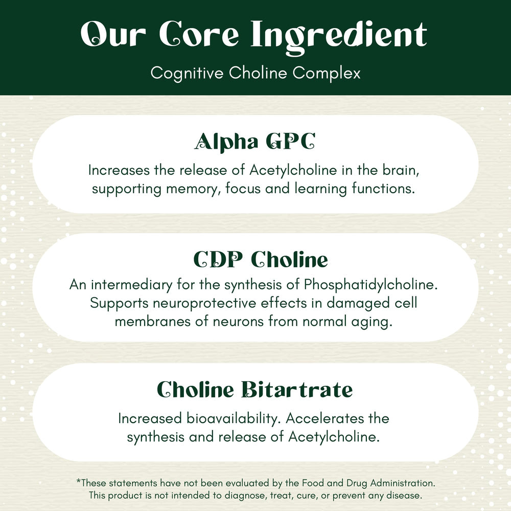 Rootful Mind Alpha Focus ingredient swatch highlights 14-in-1 formula for holistic brain support.