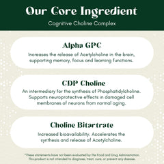 Rootful Mind Alpha Focus ingredient swatch highlights 14-in-1 formula for holistic brain support.