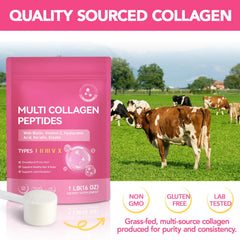 RSGRT two-scoop daily serving helps maintain a simple routine.