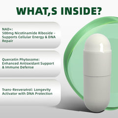 Rubimirez NAD+ liposomal encapsulation detail suggests improved bioavailability