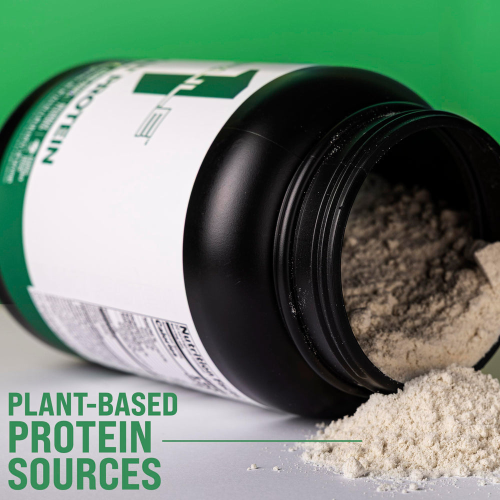 Rule 1 Plant Protein dark chocolate label—high protein blend in a GMP-certified package.