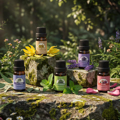 SACATR oils ready for massage blends to enhance relaxation
