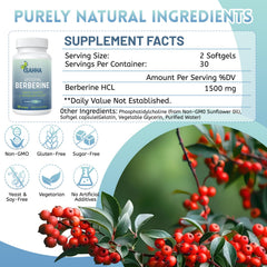 Sahha Liposomal Berberine two-pack packaging for convenient daily regimen