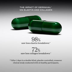 SAKARA Beauty Biome prebiotics and fiber graphic emphasizes nourishing gut flora for steadier energy.
