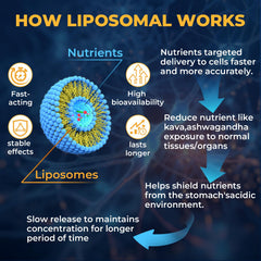 Samarogen blend of chamomile, lemon balm, and passionflower on packaging.