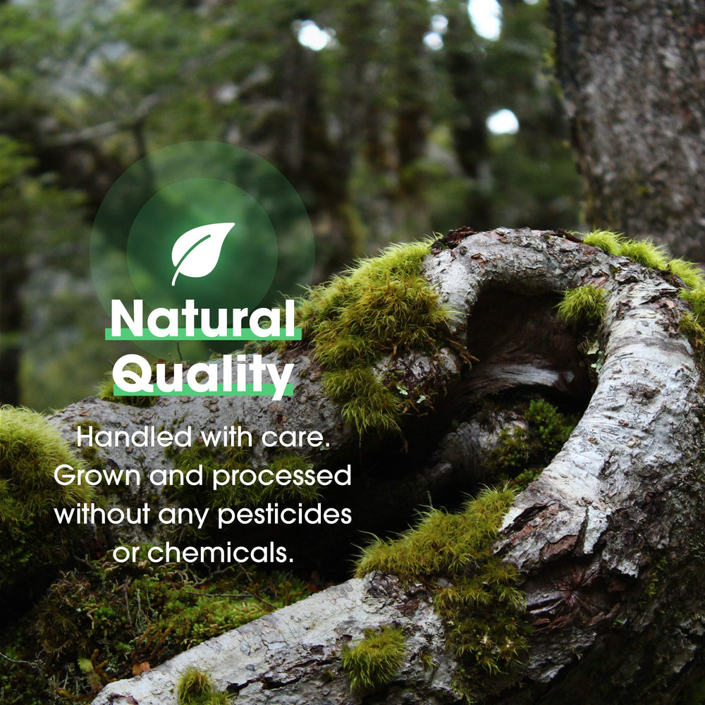 Herba-V Immune packaging on a counter supports convenient daily routines.