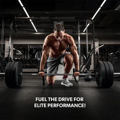 SAN Performance Creatine 600g micronized powder emphasizes fast absorption and smooth mixing.