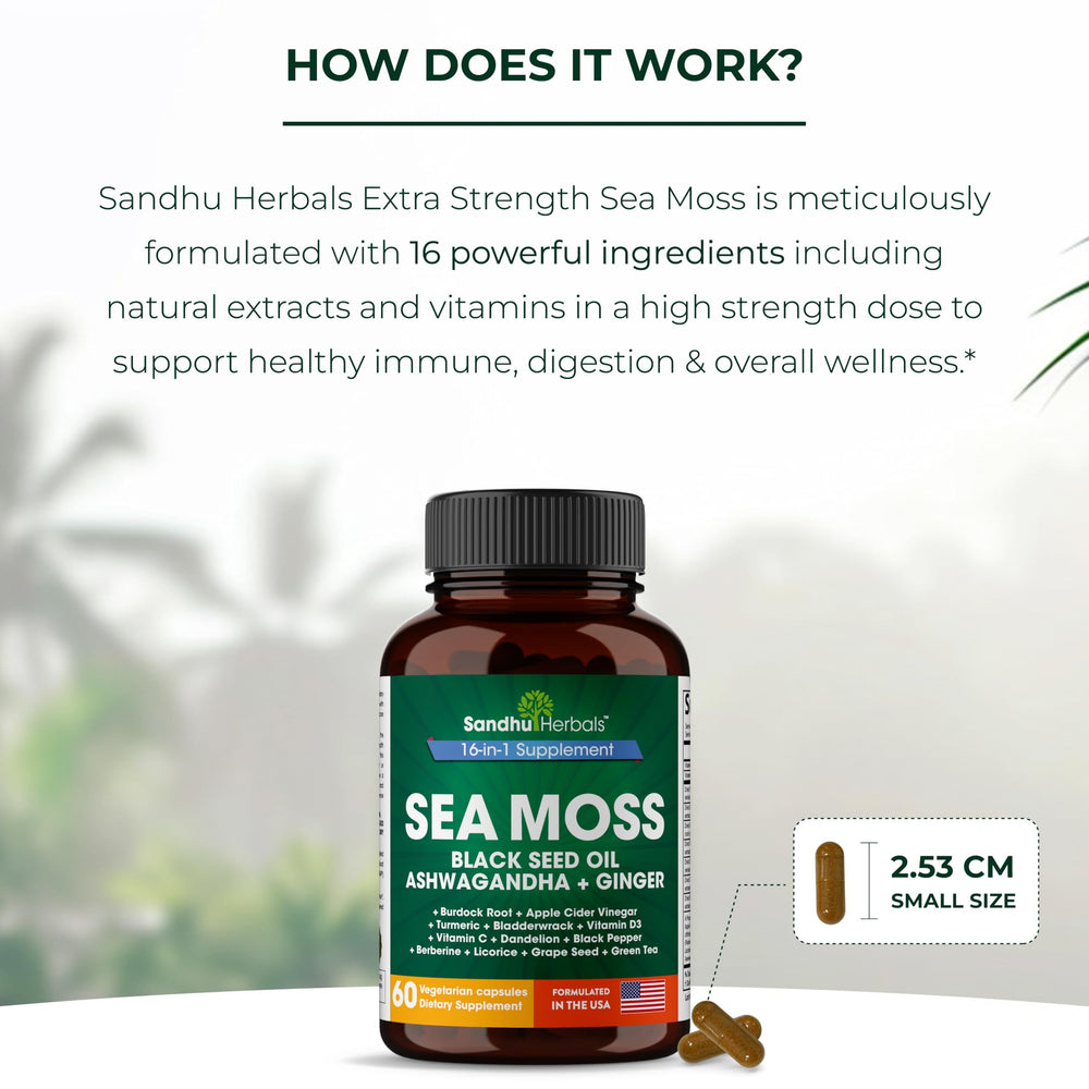 SANDHUHERBALS burdock-root capsules emphasize natural detox and digestion support.