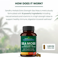 SANDHUHERBALS burdock-root capsules emphasize natural detox and digestion support.