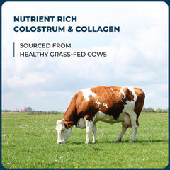 Sandhu's collagen peptides powder tub highlighting skin, hair, and nail benefits.