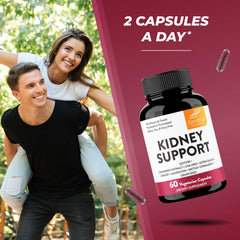 Illustration of kidney and urinary tract wellness with Sandhu's supplement.