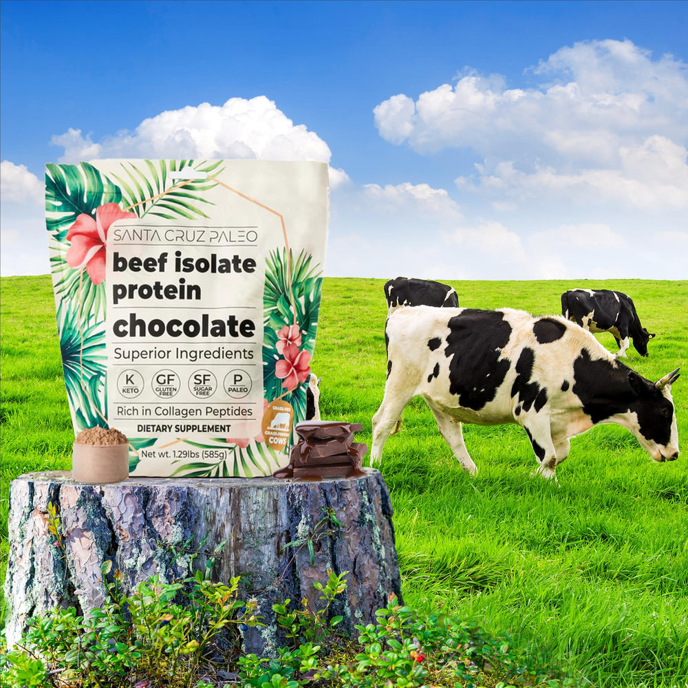 Santa Cruz Paleo Beef Isolate Chocolate in blender for smoothies