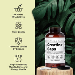 Back of Santa Cruz Paleo Creatine Capsules bottle with nutrition facts