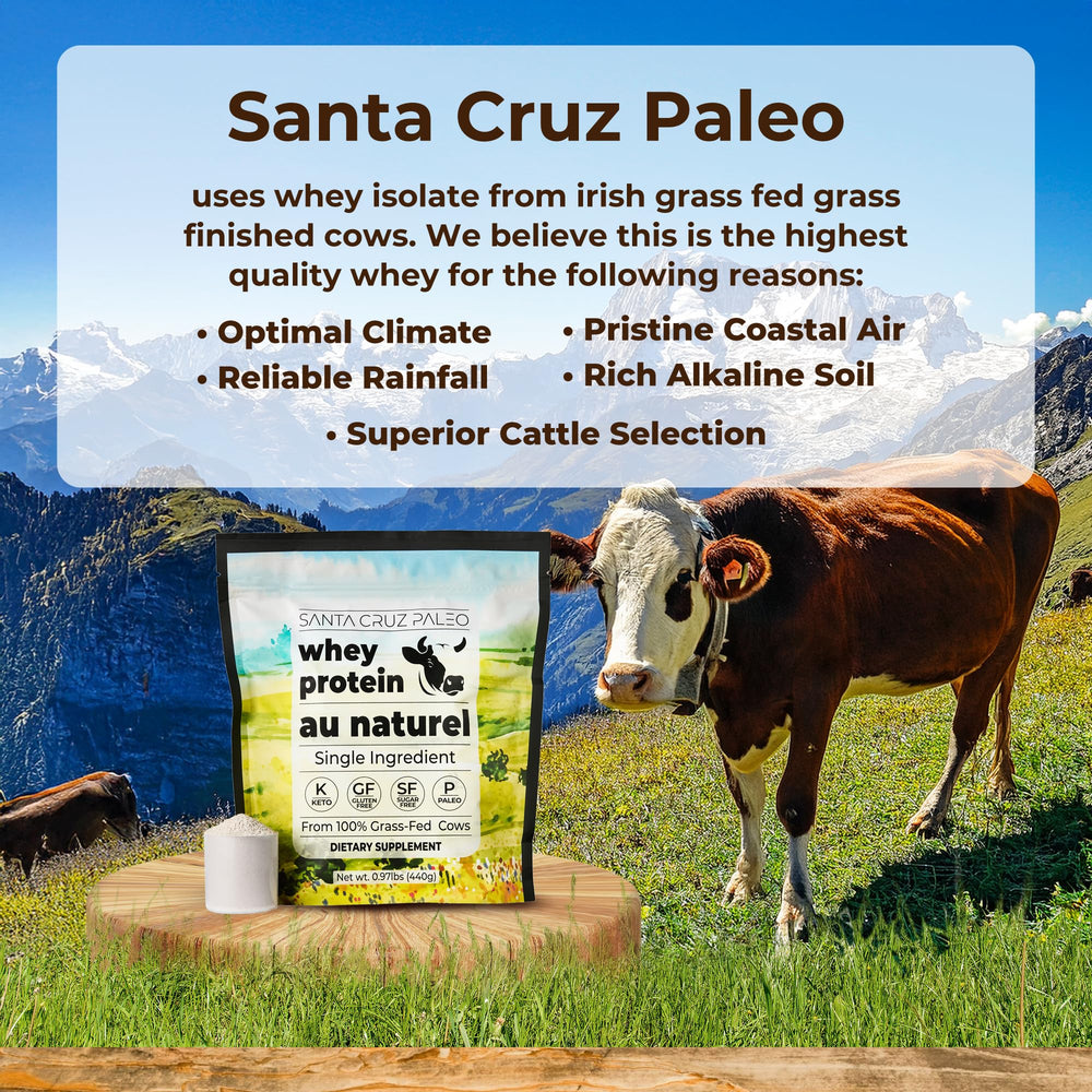 Santa Cruz Paleo whey mixer with shake demonstrating smooth blending
