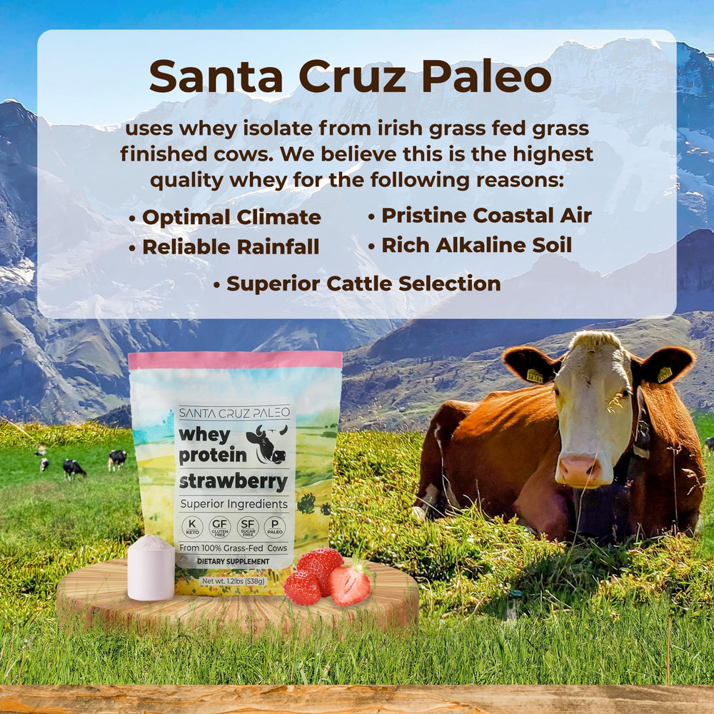 Santa Cruz Paleo strawberry scoop dispensing powder for easy mixing