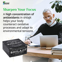 Sayan Pure Shilajit Resin digestive-boost graphic highlights fulvic acid benefits.
