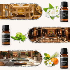 Sbehrtno diffuser oil packaging display emphasizes hotel-inspired ambiance