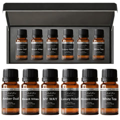 Sbehrtno hotel diffuser oil gift set 6x10ml in a premium box for home luxury