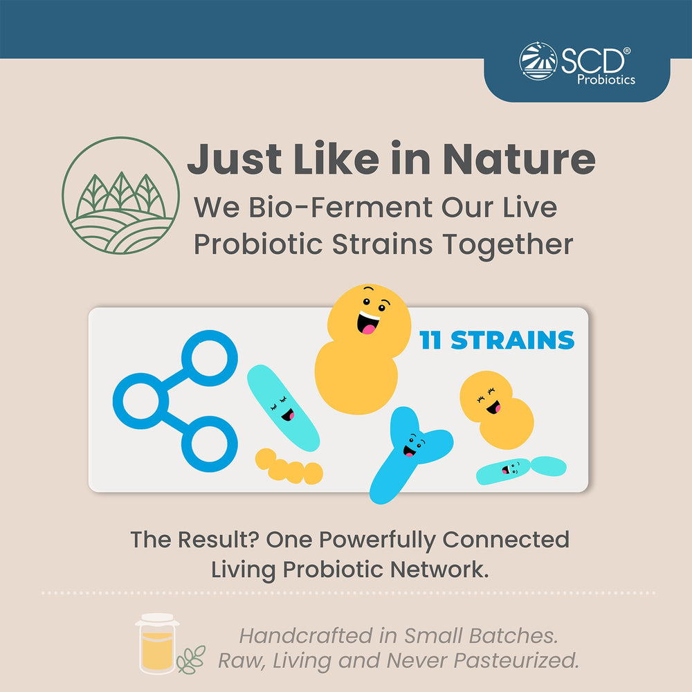Digestive health graphic illustrating gut balance with SCD Probiotics.
