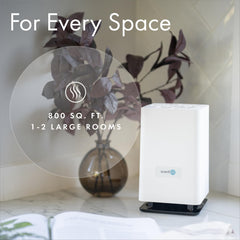 ScentAir Whisper Essential diffuser top view with clean white body.