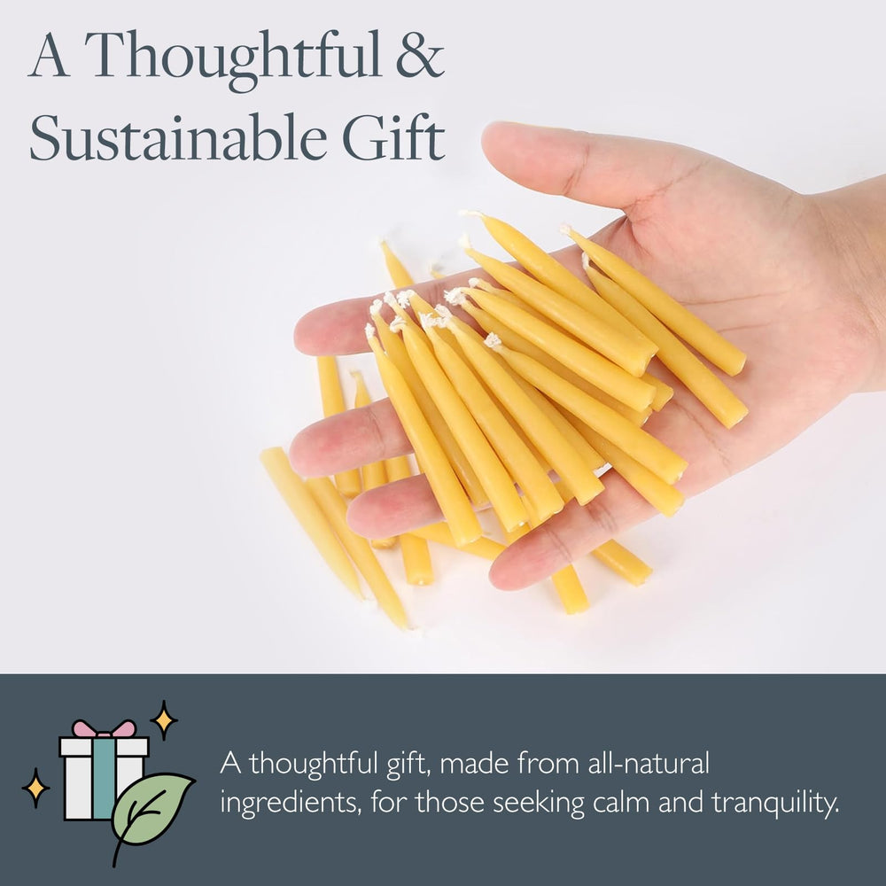 Scentered 36 candles display for sustainable self care rituals