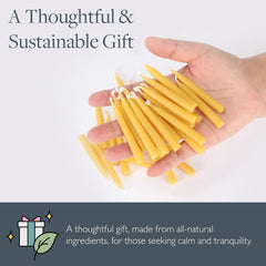 Scentered 36 candles display for sustainable self care rituals