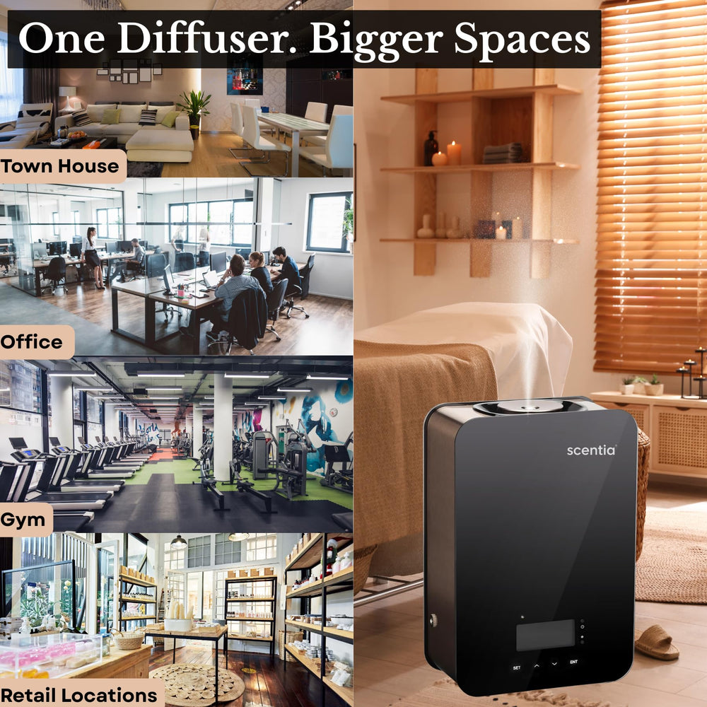 Scentia CASA SC 2000 black quiet operation supports discreet scenting