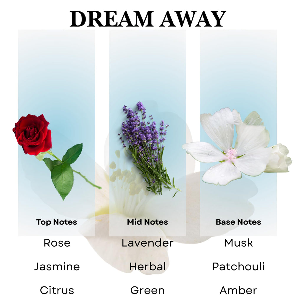 Scentia Dream Away in-room ambience creates a peaceful workspace.