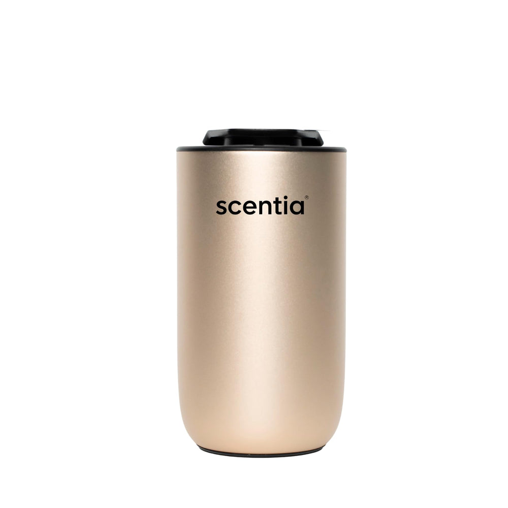 Scentia gift-ready packaging ideal for holidays.