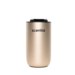 Scentia gift-ready packaging ideal for holidays.